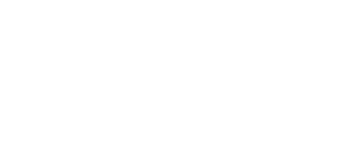 Flex Logo